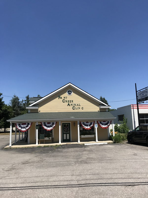 Goodison - July 2020 Photo (newer photo)